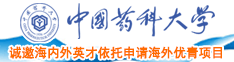 新加坡操逼视频网站中国药科大学诚邀海内外英才依托申请海外优青项目